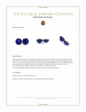 9.07 Ct.Tw.Total Carat Weight Blue Sapphire Pair from Ceylon (Sri Lanka) Appraisal