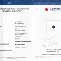 9.07&nbsp;Ct.Tw.Total Carat Weight Blue Sapphire Pair from Ceylon (Sri Lanka) Scan Report