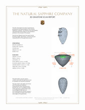 Jewelry 3 D Scan Report