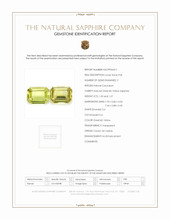 Jewelry Scan Report