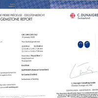 20.59 Ct.Tw.Total Carat Weight Blue Sapphire Pair from Ceylon (Sri Lanka) Scan Report