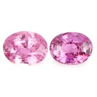 3.38 Ct.Tw.Total Carat Weight Pink Sapphire Pair from Ceylon (Sri Lanka) Video
