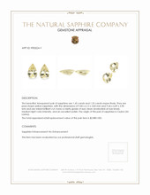 Jewelry Appraisal