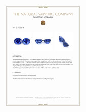 6.80 Ct.Tw.Total Carat Weight Blue Sapphire Pair from Ceylon (Sri Lanka) Appraisal
