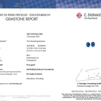 6.80 Ct.Tw.Total Carat Weight Blue Sapphire Pair from Ceylon (Sri Lanka) Scan Report