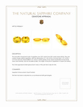 10.85&nbsp;Ct.Tw.Total Carat Weight Yellow Sapphire Pair from Ceylon (Sri Lanka) Appraisal