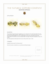 2.90 Ct.Tw.Total Carat Weight Yellow Sapphire Pair from Ceylon (Sri Lanka) Appraisal