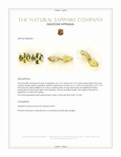 2.90 Ct.Tw.Total Carat Weight Yellow Sapphire Pair from Ceylon (Sri Lanka) Appraisal