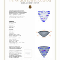 Jewelry 3 D Scan Report