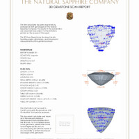 Jewelry 3 D Scan Report