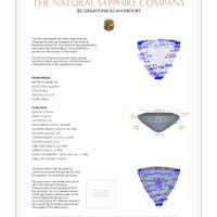 Jewelry 3 D Scan Report