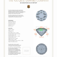 Jewelry 3 D Scan Report