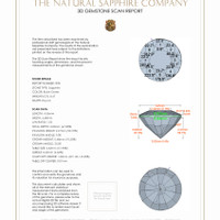 Jewelry 3 D Scan Report