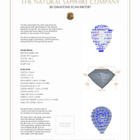 Jewelry 3 D Scan Report