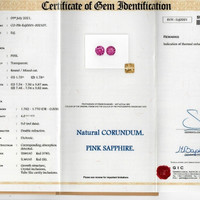 Jewelry Scan Report