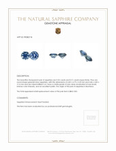 1.05&nbsp;Ct.Tw.Total Carat Weight Greenish Blue Sapphire Pair from Montana Appraisal