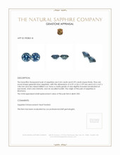 0.83 Ct.Tw.Total Carat Weight Sapphire Pair from Montana Appraisal