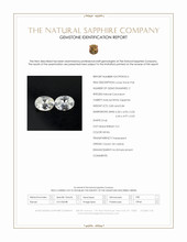 Jewelry Scan Report