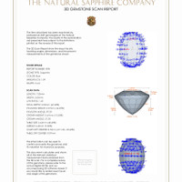 Jewelry 3 D Scan Report