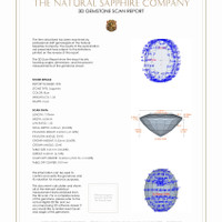 Jewelry 3 D Scan Report