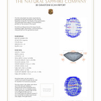 Jewelry 3 D Scan Report