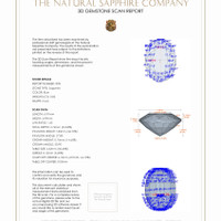 Jewelry 3 D Scan Report