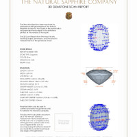 Jewelry 3 D Scan Report