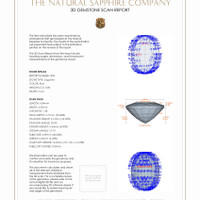 Jewelry 3 D Scan Report