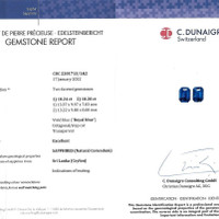 20.44&nbsp;Ct.Tw.Total Carat Weight Blue Sapphire Pair from Ceylon (Sri Lanka) Scan Report