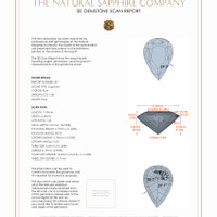 Jewelry 3 D Scan Report