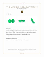 2.08 Ct.Tw.Total Carat Weight Emerald Pair from Brazil Appraisal
