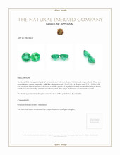 2.88 Ct.Tw.Total Carat Weight Emerald Pair from Brazil Appraisal