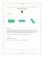 2.88 Ct.Tw.Total Carat Weight Emerald Pair from Brazil Appraisal