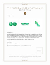 2.39 Ct.Tw.Total Carat Weight Emerald Pair from Brazil Appraisal