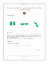 17.76 Ct.Tw.Total Carat Weight Emerald Pair from Colombia Appraisal