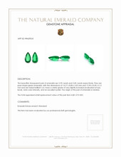 6.79 Ct.Tw.Total Carat Weight Emerald Pair from Zambia Appraisal