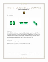 6.79 Ct.Tw.Total Carat Weight Emerald Pair from Zambia Appraisal