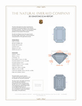 Jewelry 3 D Scan Report
