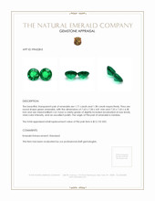 3.09 Ct.Tw.Total Carat Weight Emerald Pair from Zambia Appraisal