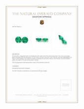 0.57 Ct.Tw.Total Carat Weight Emerald Pair from Zambia Appraisal