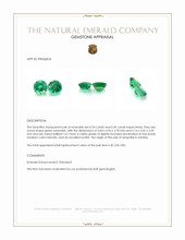 1.03 Ct.Tw.Total Carat Weight Emerald Pair from Zambia Appraisal