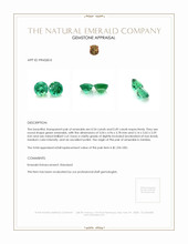 1.03 Ct.Tw.Total Carat Weight Emerald Pair from Zambia Appraisal