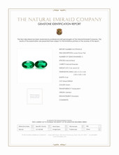 Jewelry Scan Report