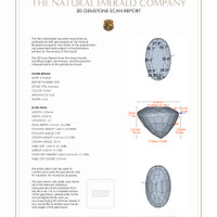 Jewelry 3 D Scan Report