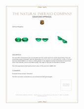 0.88 Ct.Tw.Total Carat Weight Emerald Pair from Zambia Appraisal