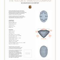 Jewelry 3 D Scan Report