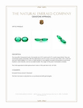 1.67 Ct.Tw.Total Carat Weight Emerald Pair from Zambia Appraisal