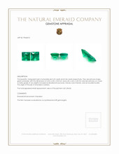 0.86 Ct.Tw.Total Carat Weight Emerald Pair from Zambia Appraisal