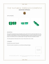 0.97 Ct.Tw.Total Carat Weight Emerald Pair from Zambia Appraisal