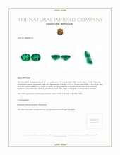 3.63 Ct.Tw.Total Carat Weight Emerald Pair from Zambia Appraisal